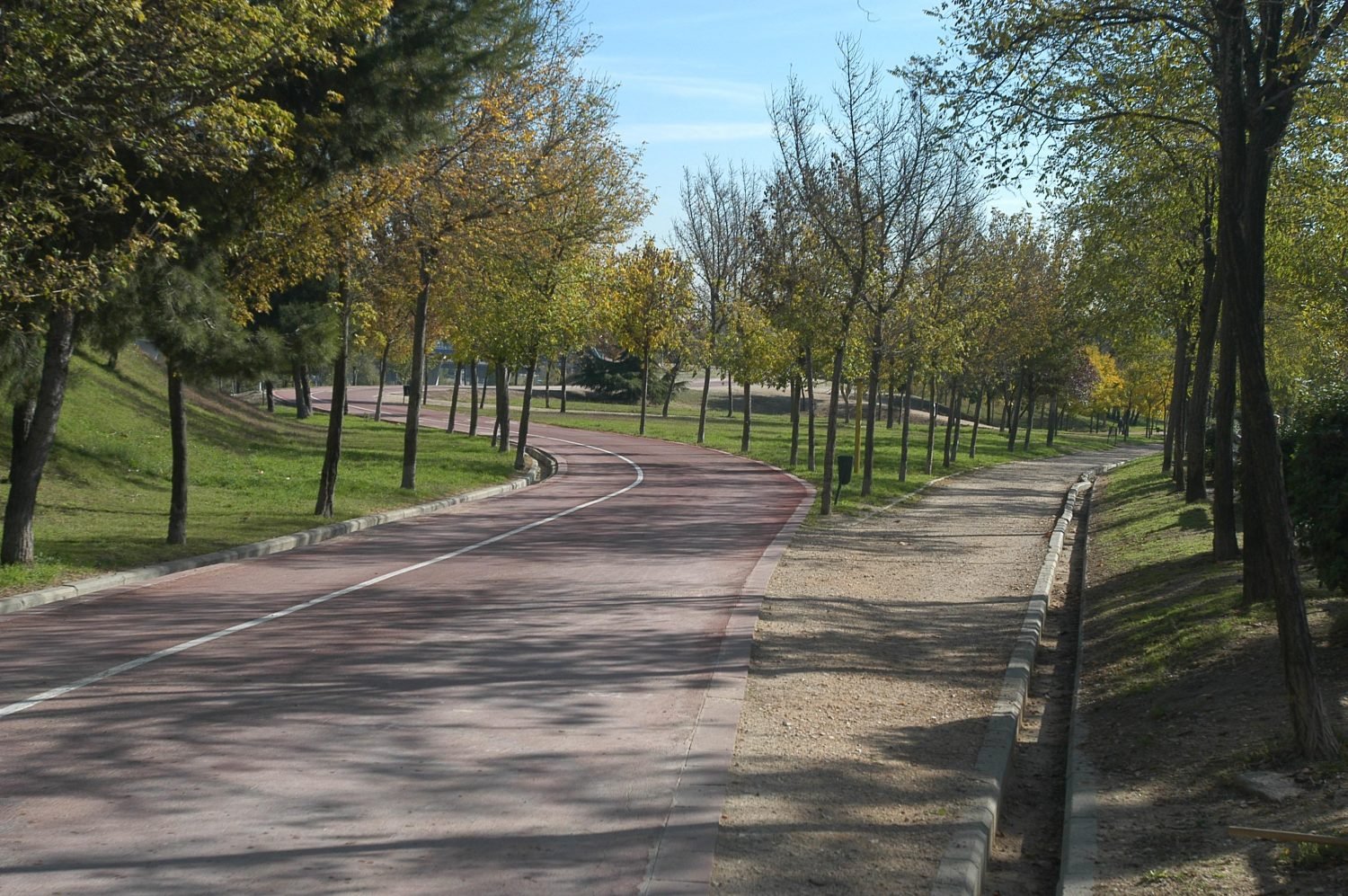 Sendero de parque con carril bici y paseo peatonal
